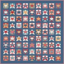Lori Holt 10" Star Quilt Paper