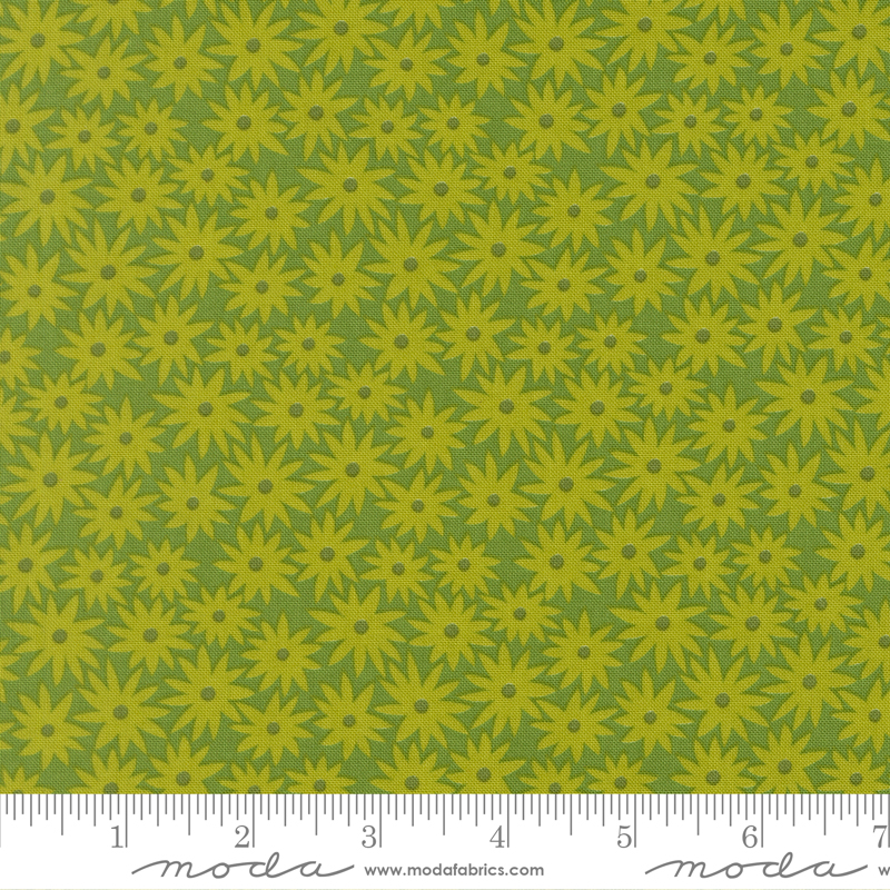 Scenery by Elizabeth Hartman - Sedum in Limeade