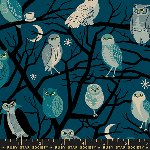 Freaky Familiars by Ruby Star Society - Who Cooks For You in Galaxy