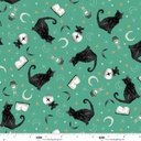 Witchy Wicked by Rose Halsey - Black Cats, Crystal Balls, and Potion Books in Turquoise
