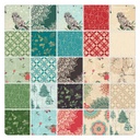 Winter Haven by Rachel Rossi Designs - Dancing Doilies in Charcoal
