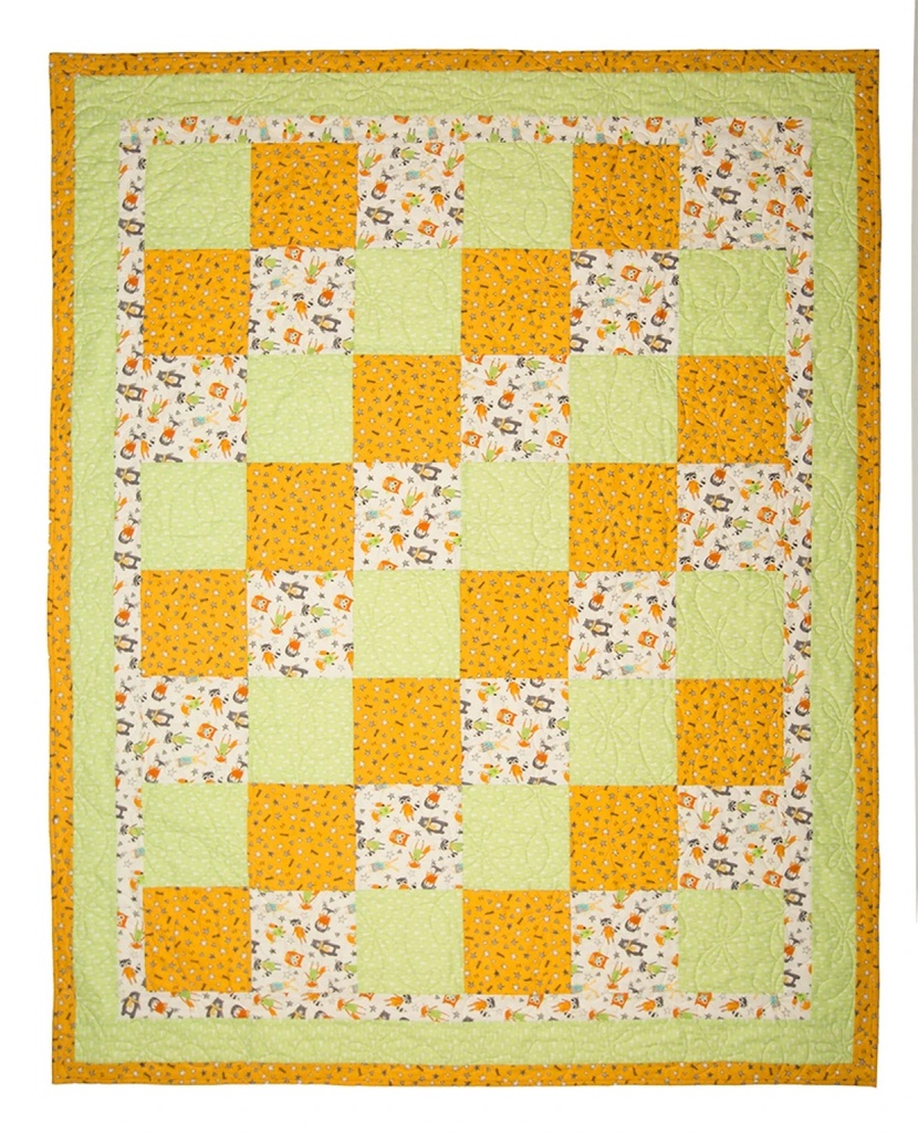3 Yard Quilt Favorites by Donna Robertson