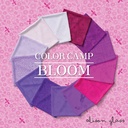 Color Camp by Alison Glass - Bloom Fat Quarter Bundle