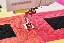 Bernina 790 Pro Sewing & Embroidery