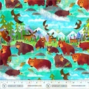 Animal Kingdom by Gareth Lucas - Bathing Bears in Turquoise