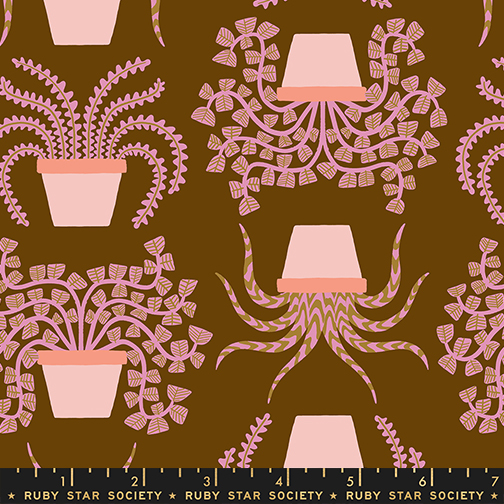 Calathea by Ruby Star Society – Houseplant in Cocoa