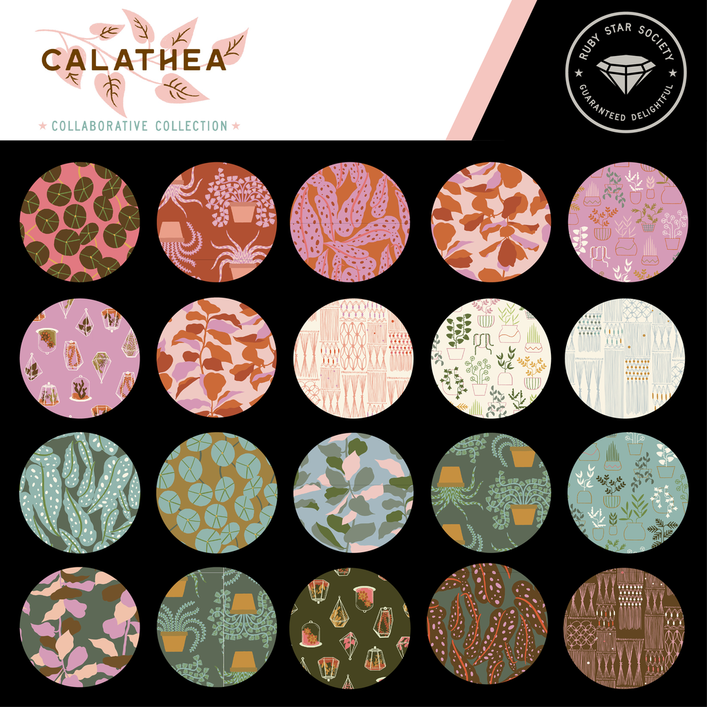 Calathea by Ruby Star Society – Houseplant in Cocoa