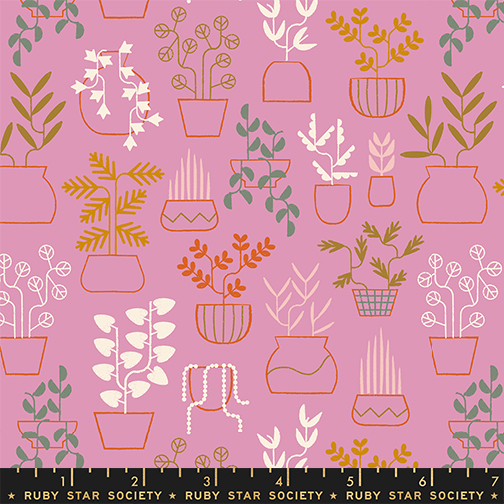 Calathea by Ruby Star Society – Plant Life in Kiss