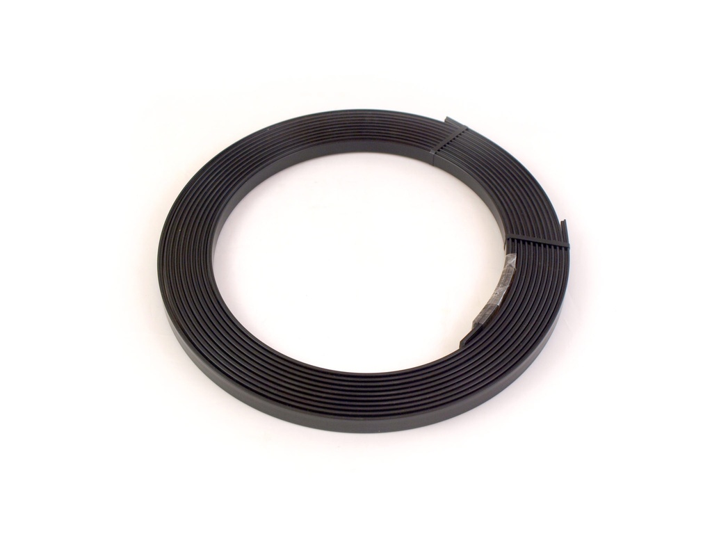 Track Insert - 12ft