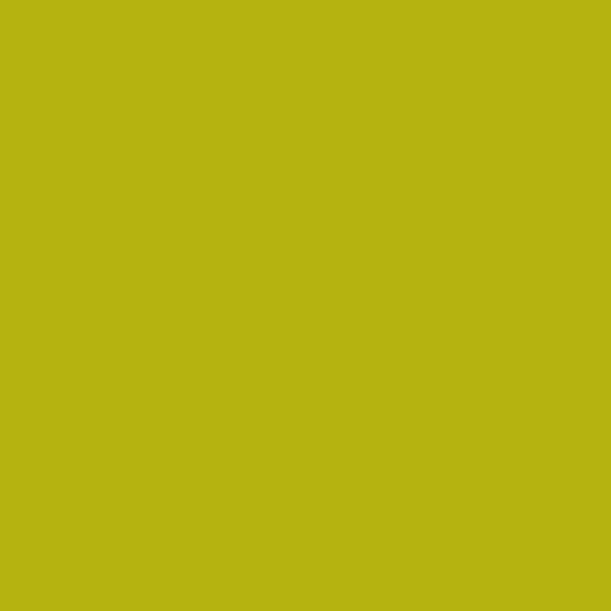 Century Solids by Andover Fabrics - Margarita