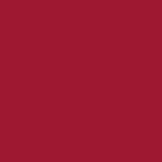 Century Solids by Andover Fabrics - Redwood