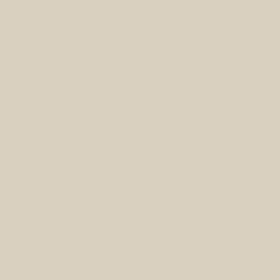 Century Solids by Andover Fabrics - Champagne