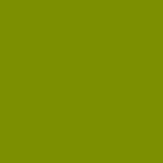 Century Solids by Andover Fabrics - Guacamole