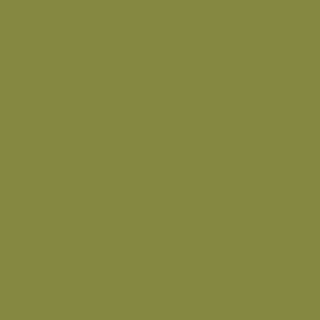 Century Solids by Andover Fabrics - Jalapeno