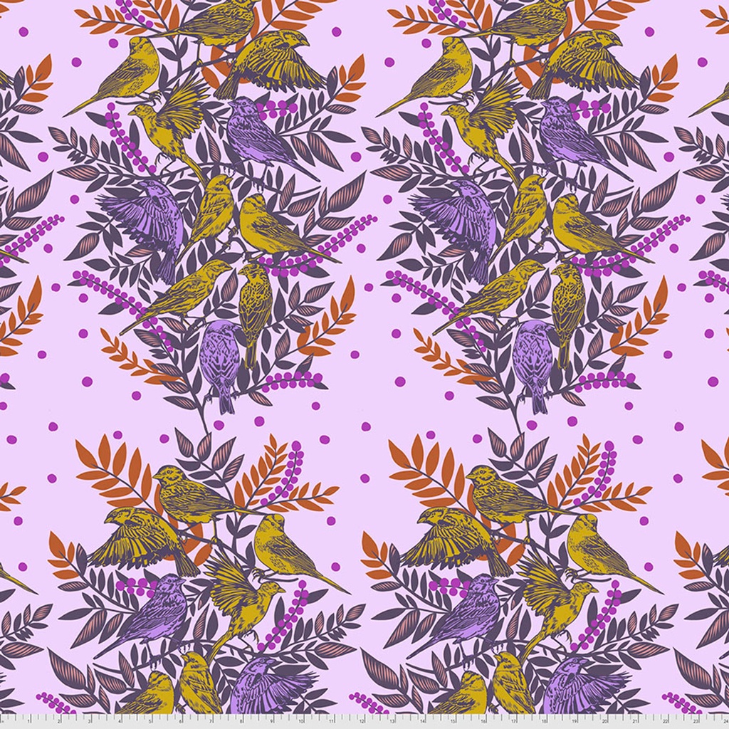 Bright Eyes by Anna Maria - Visitation in Lilac