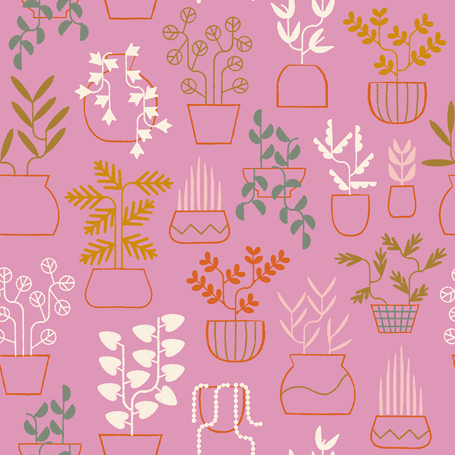 Calathea by Ruby Star Society – Plant Life in Kiss