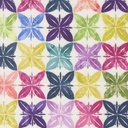 Soulstice by Create Joy Project - Canvas Slow Stroll in Rainbow