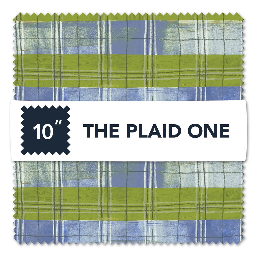 The Plaid One by Marcia Derse - 10 x 10 Squares