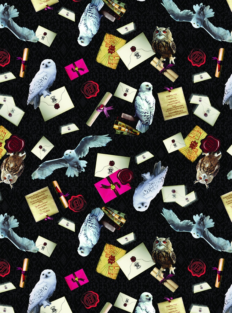 Harry Potter by Benartex - Owl Postal Service in Black