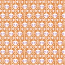 Dem Bones by Cloud9 Sarah Watson - X Ray in Orange