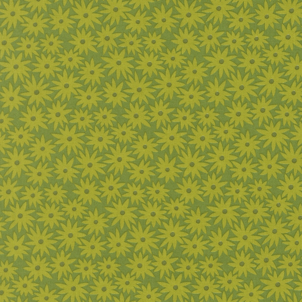 Scenery by Elizabeth Hartman - Sedum in Limeade