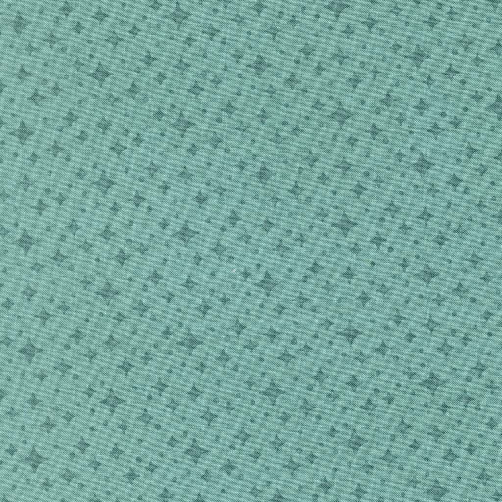 Scenery by Elizabeth Hartman - Starlight in Poolside