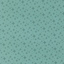 Scenery by Elizabeth Hartman - Starlight in Poolside