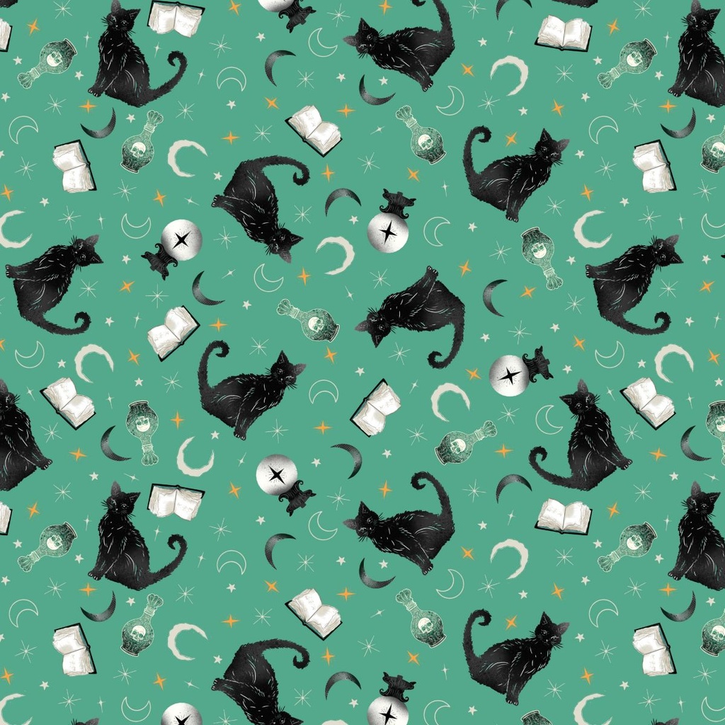 Witchy Wicked by Rose Halsey - Black Cats, Crystal Balls, and Potion Books in Turquoise