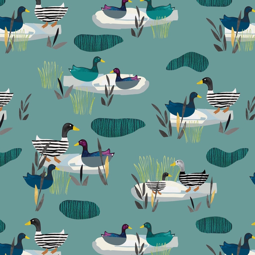 Highland Walk by Alison Woodside - Ducks in Teal