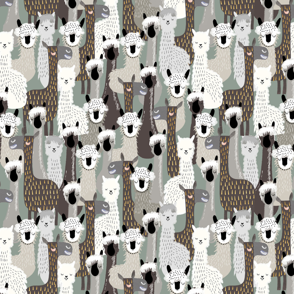 Highland Walk by Alison Woodside - Llamas in Gray