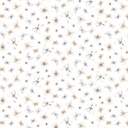 ABCs of Love by Nina Stajner - Flutter in White