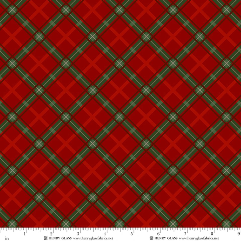 Tailgate Traditions by Jan Shade Beach - Bias Plaid in Red