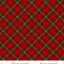 Tailgate Traditions by Jan Shade Beach - Bias Plaid in Red