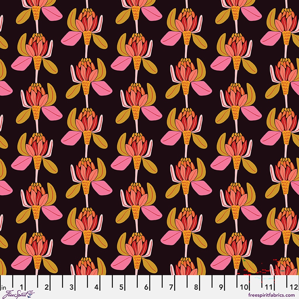 Springtime Splendour by Kirsten Katz - Protea Majestica in Licorice
