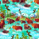 Animal Kingdom by Gareth Lucas - Bathing Bears in Turquoise