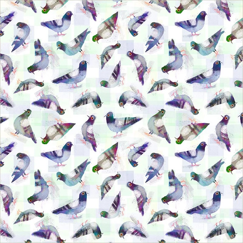Animal Kingdom by Gareth Lucas - Pigeon Pals in White