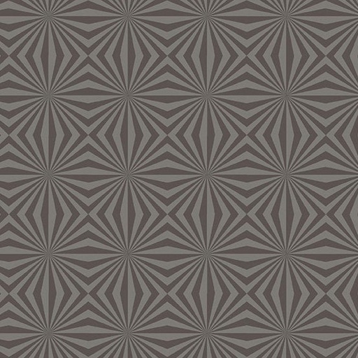 [A-9658-C1] Stealth by Libs Elliot - Rays in Stone