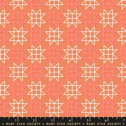 [RS1114 14] Paper Cuts 2 by Rashida Coleman - Paper Star in Canyon