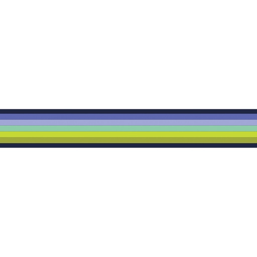 [TK-151/38mm Col 01] Floral Reef Webbing by Tula Pink - 1.5" Smooth Sailing in Marine