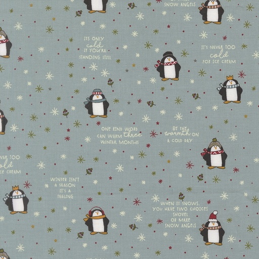 [55711 15] Chilly by Sweetwater - Mr. Penguin in Storm