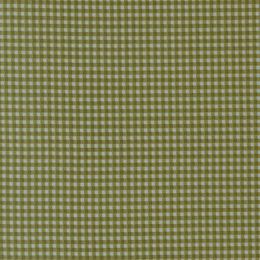 [55716 25] Chilly by Sweetwater - Gingham in Pine