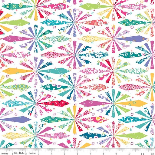 [C18017-MULTI] Chasing Rainbows by Leslie Ryan - Cheater Print in Multi