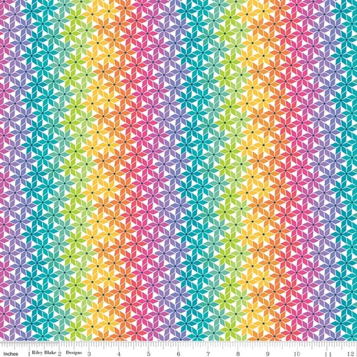 [C18014-RAINBOW] Chasing Rainbows by Leslie Ryan - Stellar Weave in Rainbow