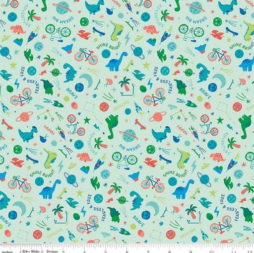 [C18311-MINT] Brave Your Way by Cayla Naylor - Wild and Free in Mint