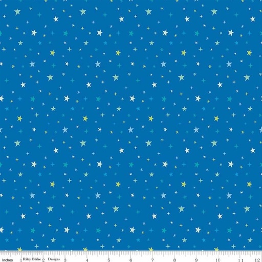 [C18314-COBALT] Brave Your Way by Cayla Naylor - Beyond the Stars in Cobalt