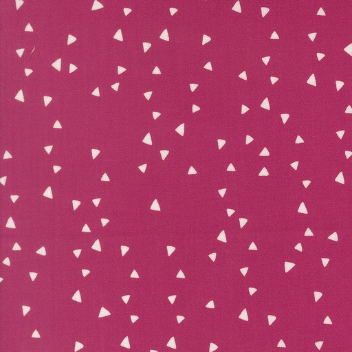 [28105 17] Makers Delight by Chrissy Lux - Trimmings in Shocking Pink